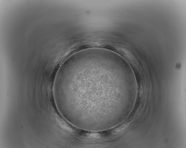 X0000089360409200706221204