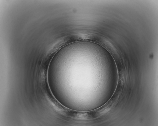 X0000089360410200706221204