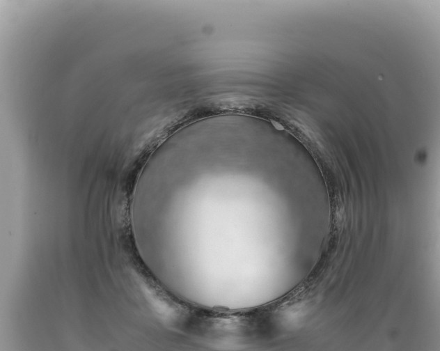 X0000089360411200706221204