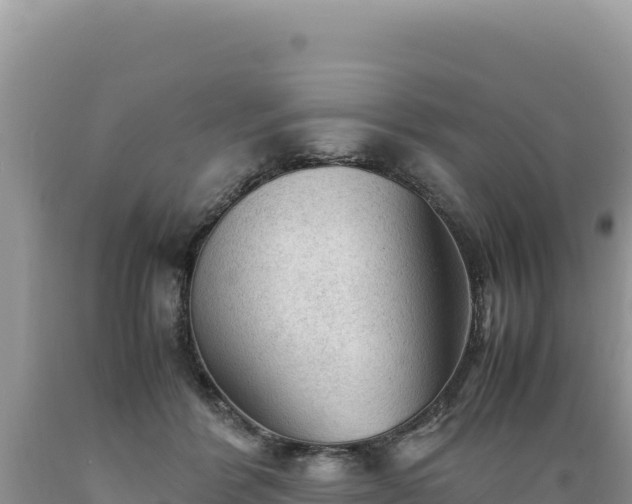 X0000089360412200706221204