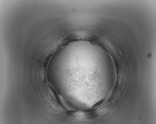 X0000089360413200706221204