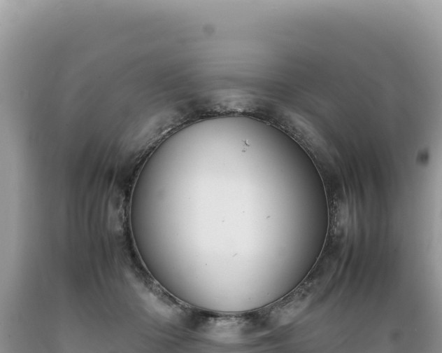 X0000089360414200706221204