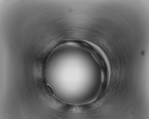 X0000089360416200706221204