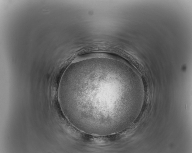 X0000089360417200706221204