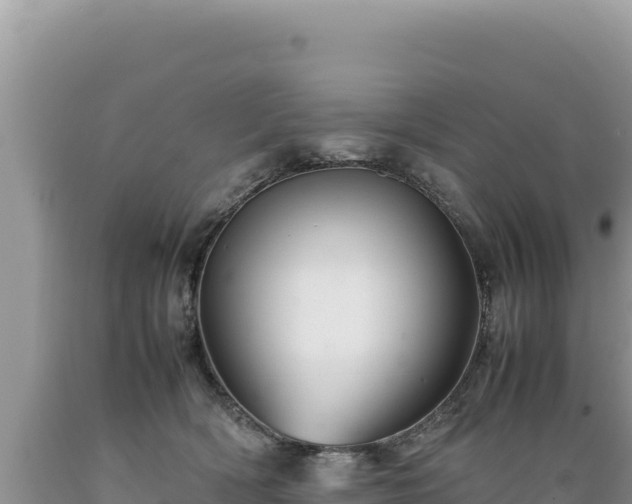 X0000089360418200706221204