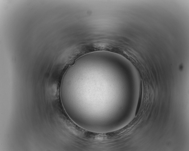 X0000089360420200706221204