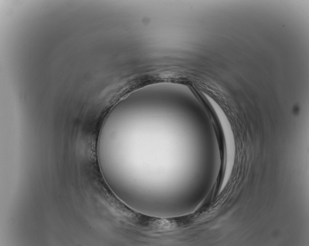 X0000089360421200706221204