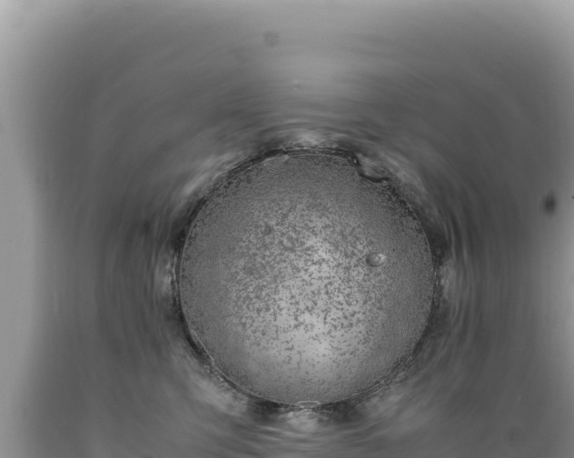 X0000089360423200706221204