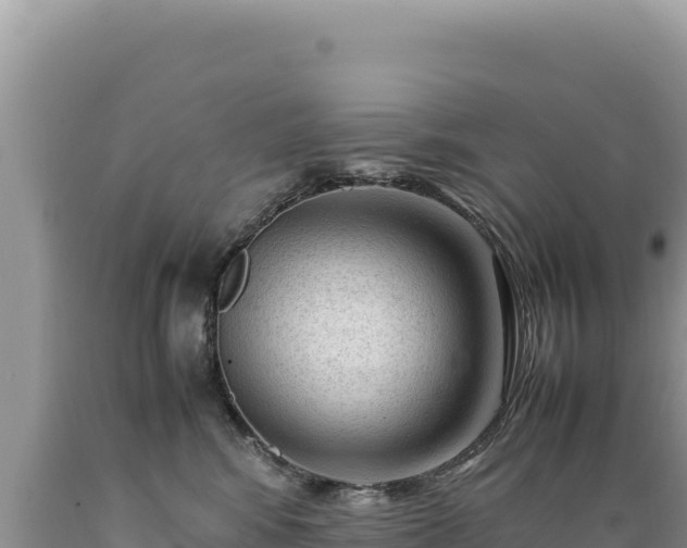 X0000089360424200706221204