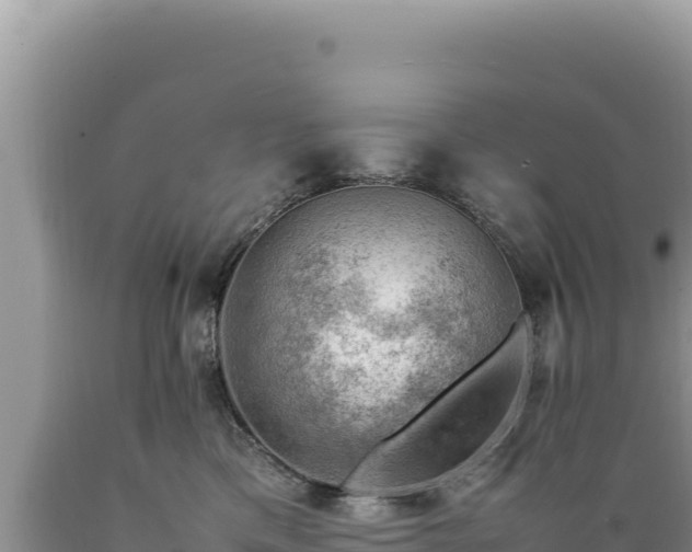X0000089360425200706221204