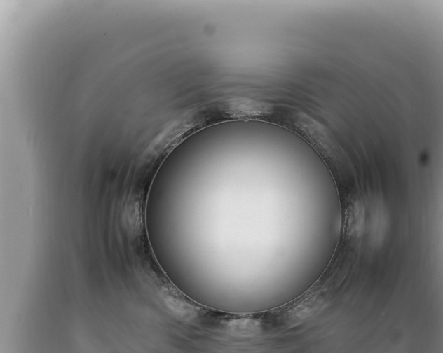X0000089360426200706221204