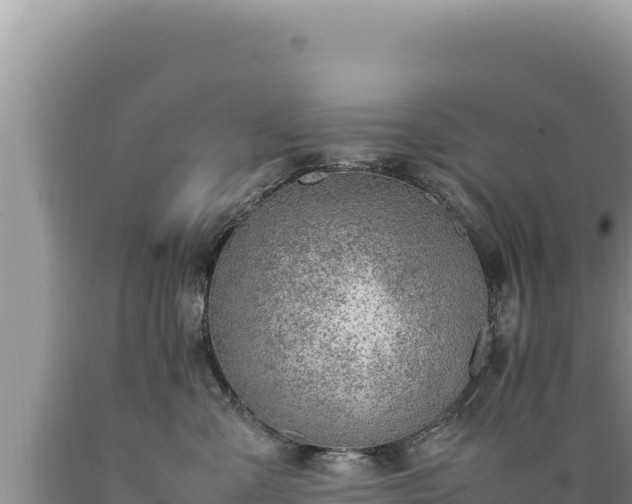 X0000089360427200706221204
