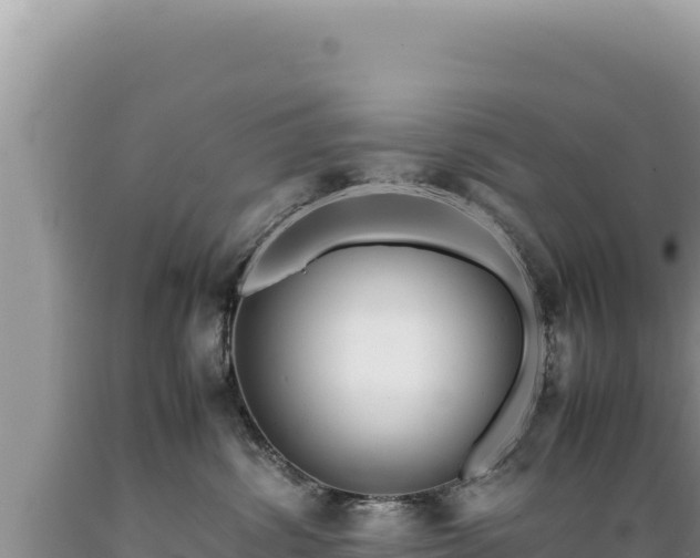 X0000089360428200706221204
