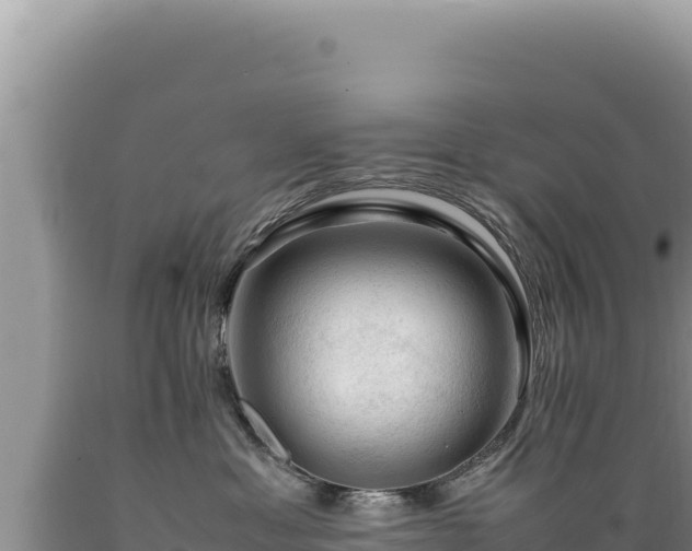 X0000089360429200706221204