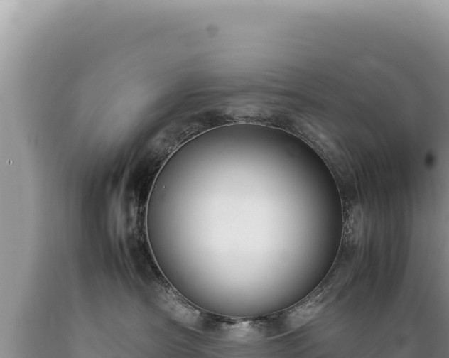 X0000089360430200706221204
