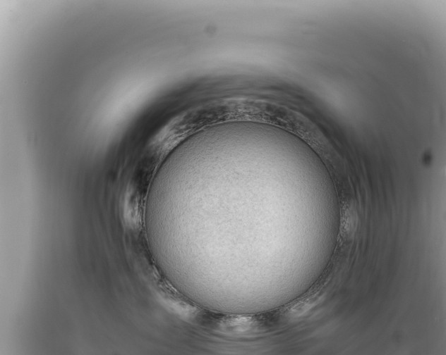 X0000089360431200706221204