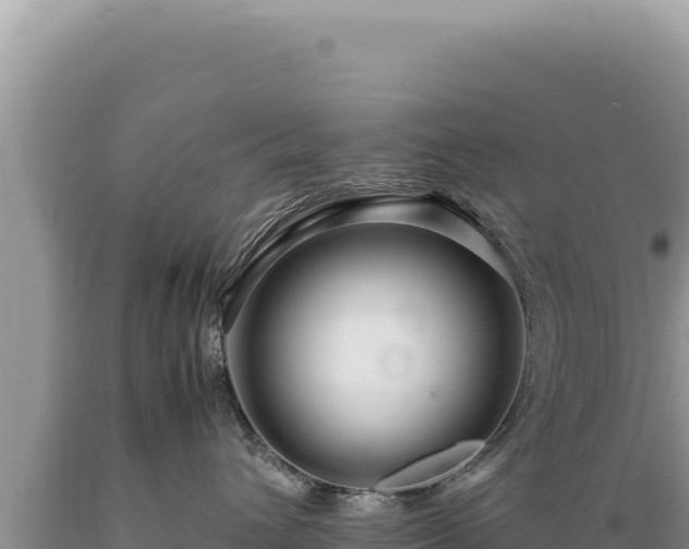 X0000089360432200706221204