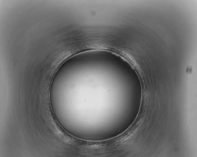 X0000089360433200706221203