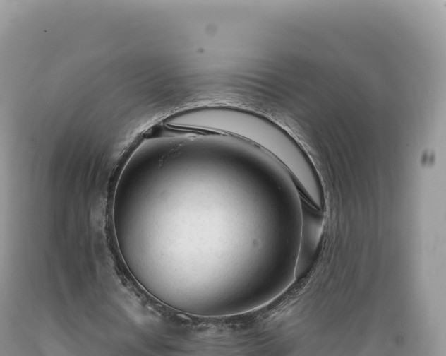 X0000089360434200706221203