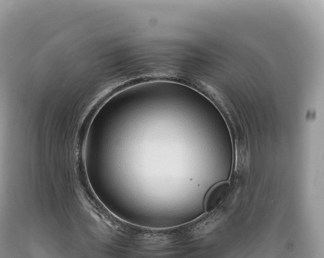 X0000089360435200706221203