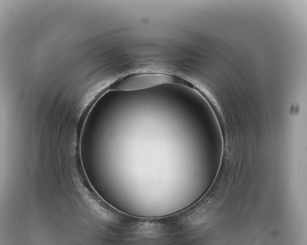 X0000089360437200706221203