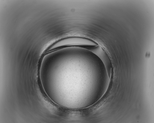 X0000089360438200706221203