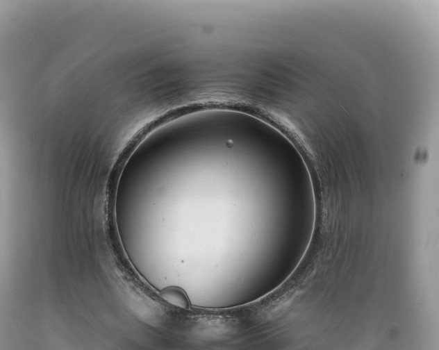 X0000089360439200706221203