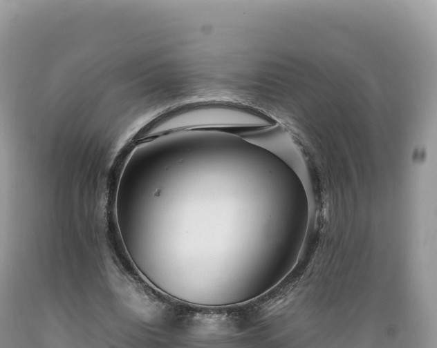 X0000089360440200706221203