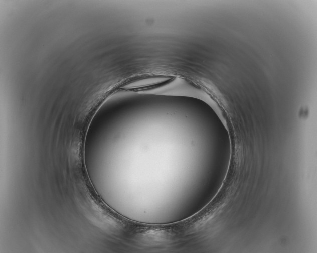X0000089360441200706221203
