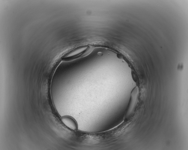 X0000089360442200706221203