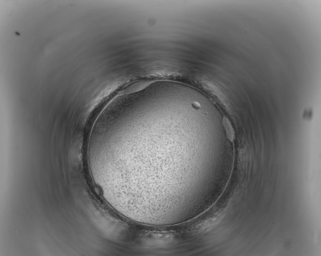 X0000089360443200706221203