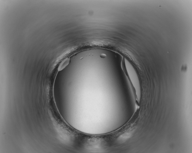X0000089360444200706221203