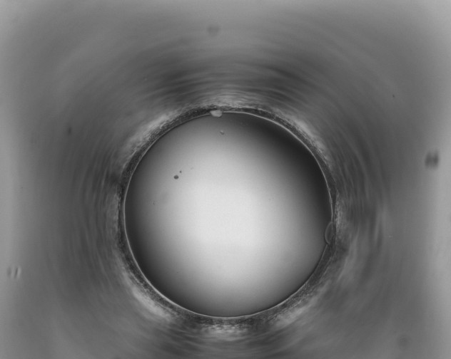 X0000089360445200706221203