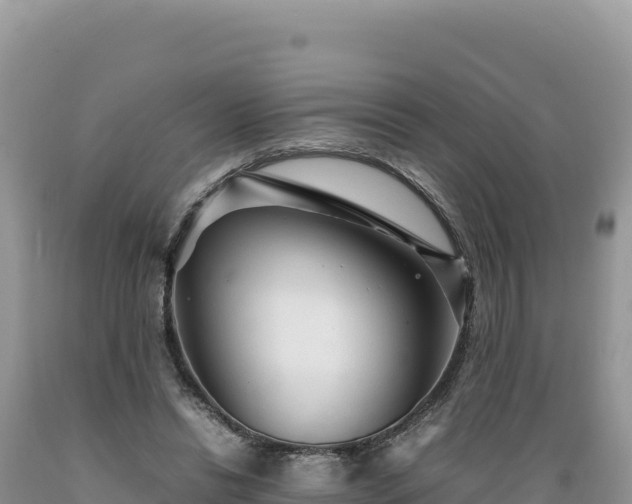 X0000089360446200706221203