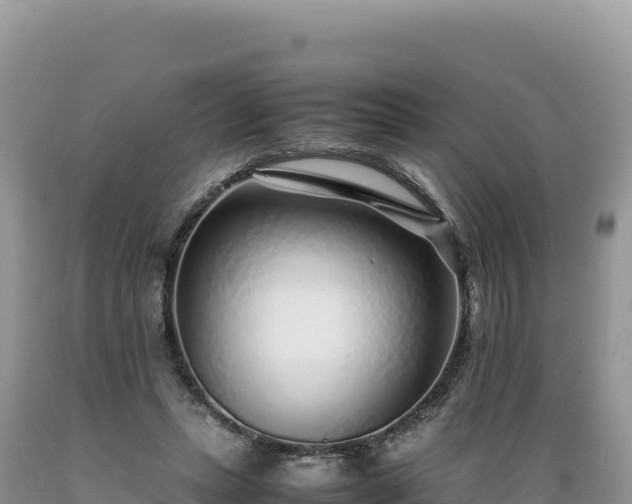 X0000089360447200706221203