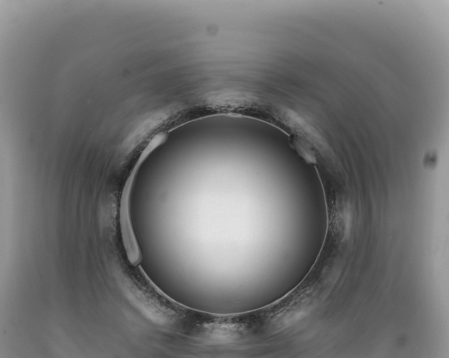 X0000089360448200706221203