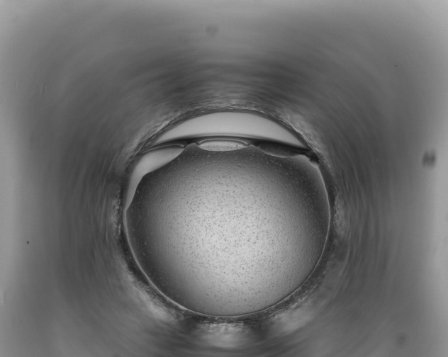 X0000089360449200706221203