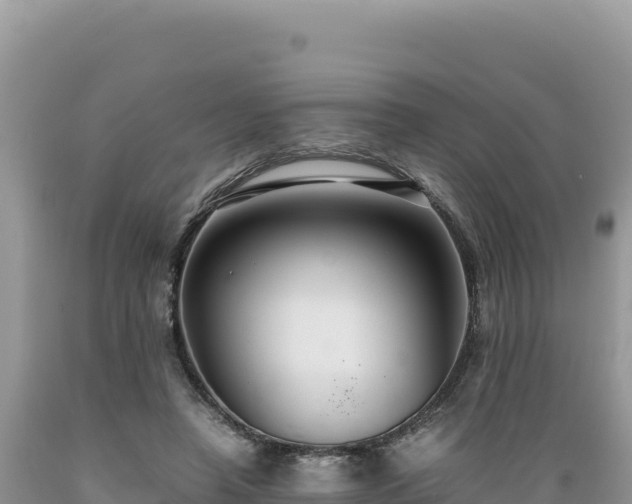 X0000089360450200706221203