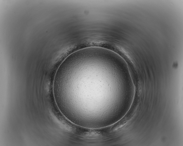 X0000089360451200706221204