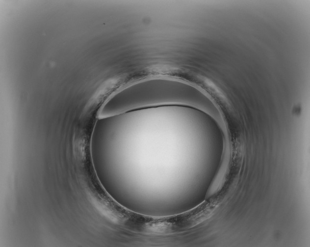 X0000089360452200706221204