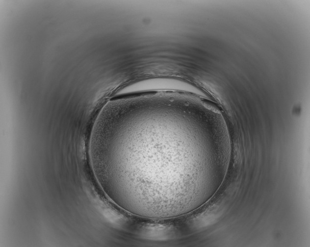 X0000089360453200706221204