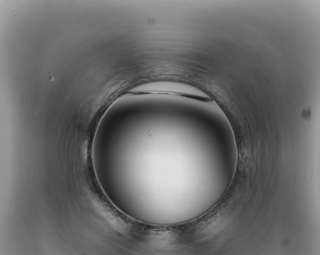 X0000089360454200706221204