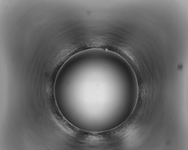 X0000089360455200706221204