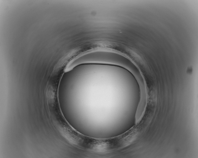X0000089360456200706221204