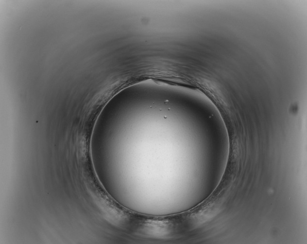 X0000089360457200706221204