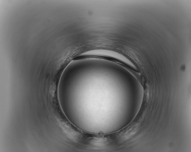 X0000089360458200706221204