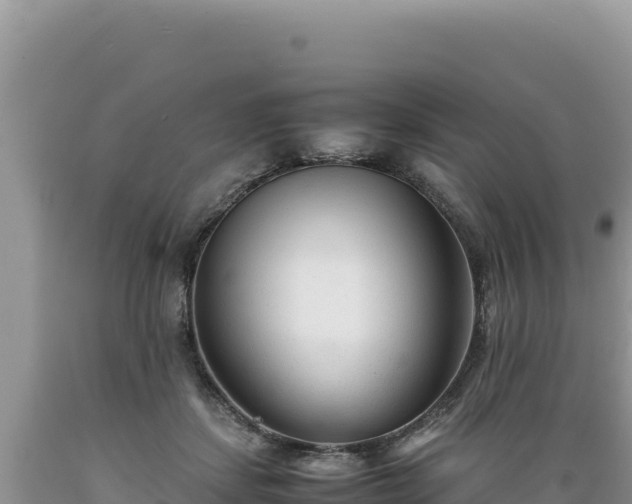 X0000089360459200706221204