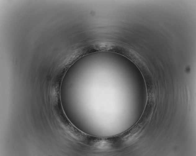 X0000089360460200706221204