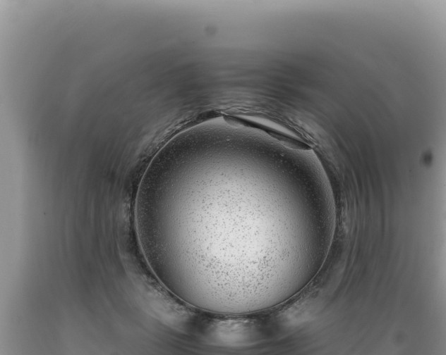 X0000089360461200706221204