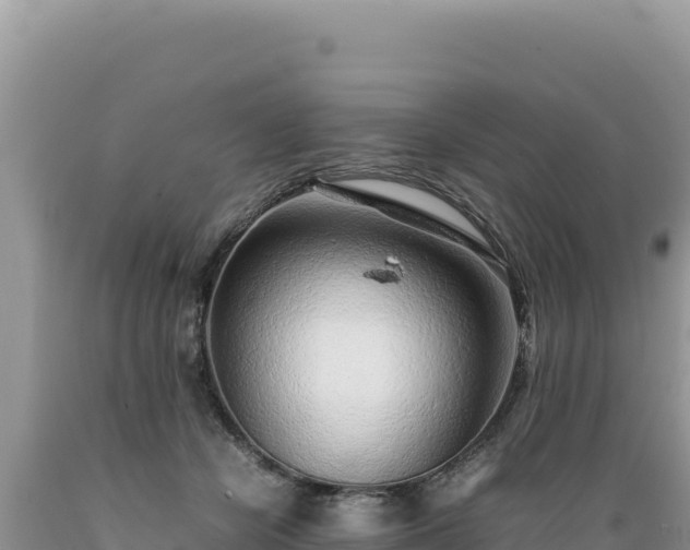 X0000089360462200706221204
